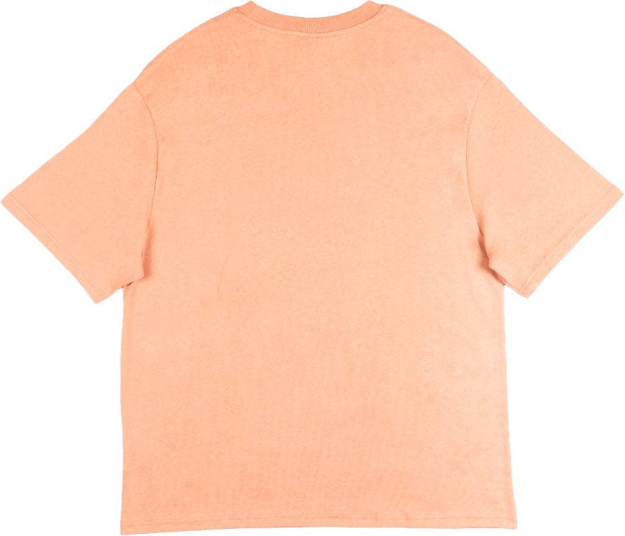 Bram's Fruit Lemon Outline T-shirt - Terra Cotta Rood