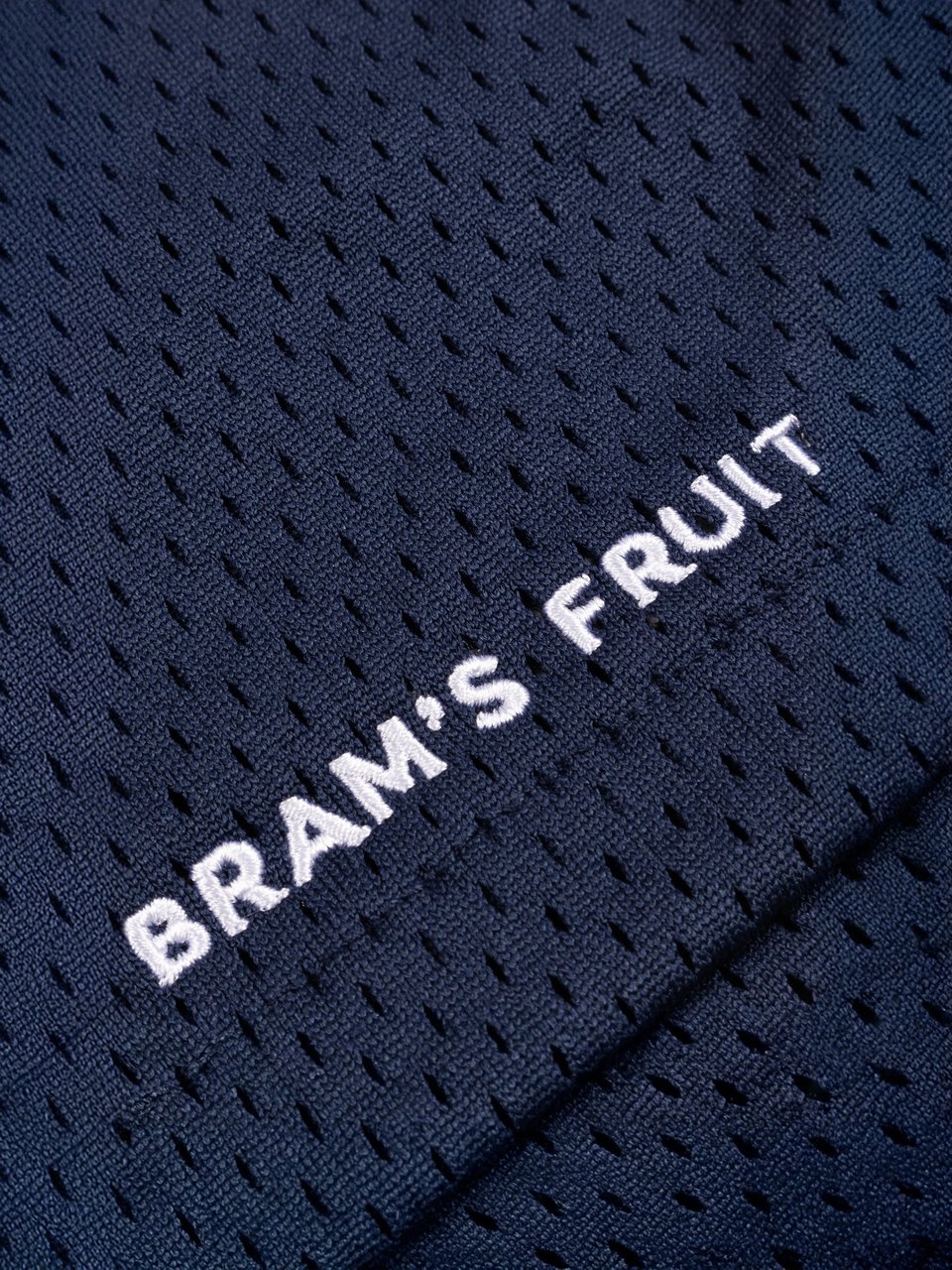 Bram's Fruit Mesh Shorts - Navy Blauw