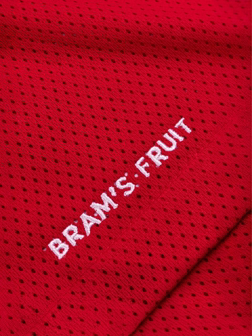 Bram's Fruit Mesh Shorts - Red Rood