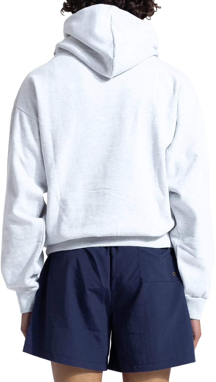 Bram's Fruit Eyelet Hoodie - Grey Melange Grijs