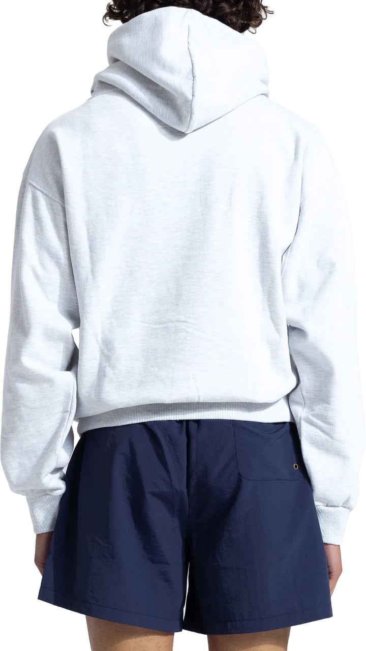 Bram's Fruit Eyelet Hoodie - Grey Melange Grijs