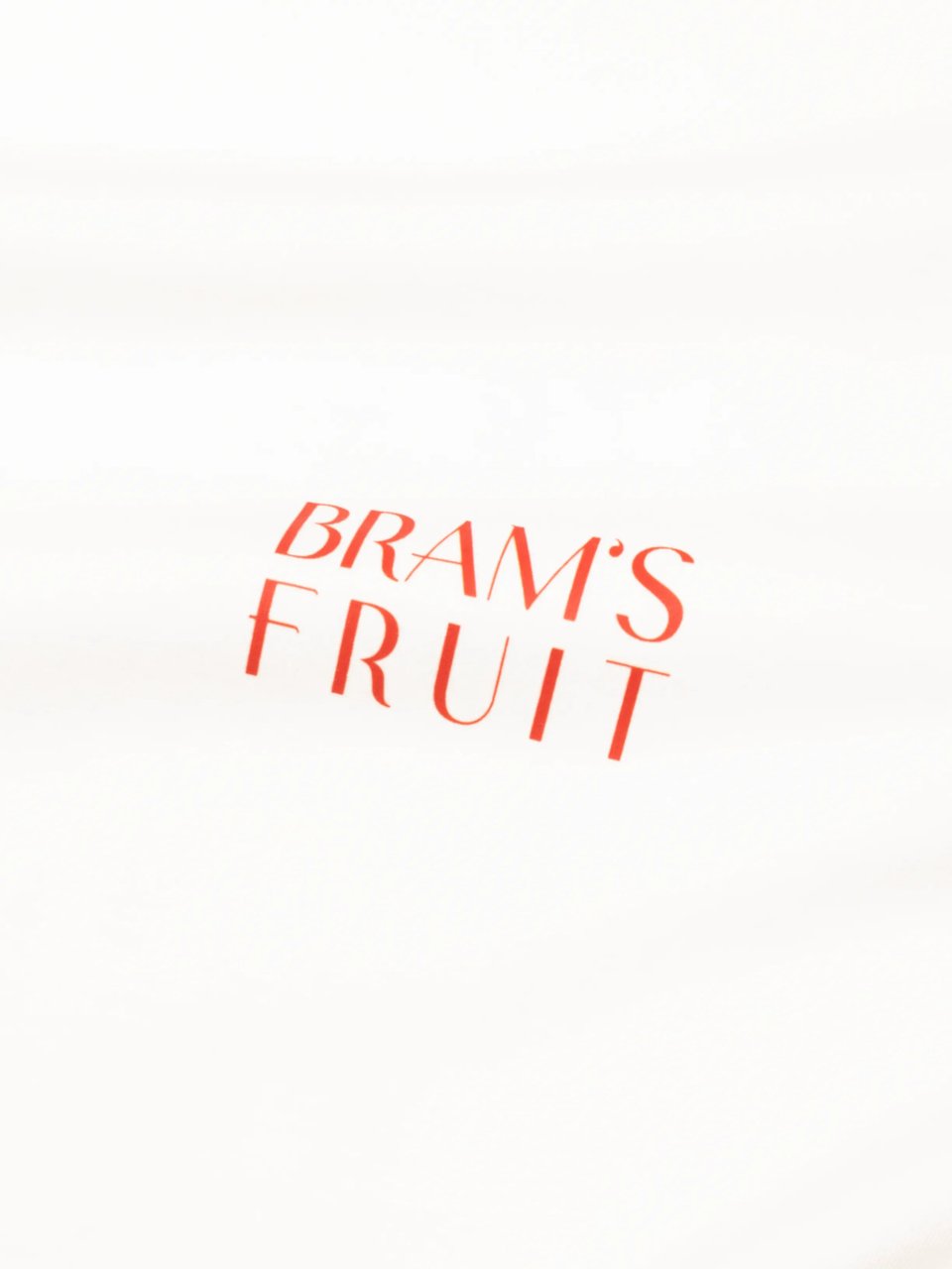 Bram's Fruit Fruit Hotel T-Shirt - White Wit