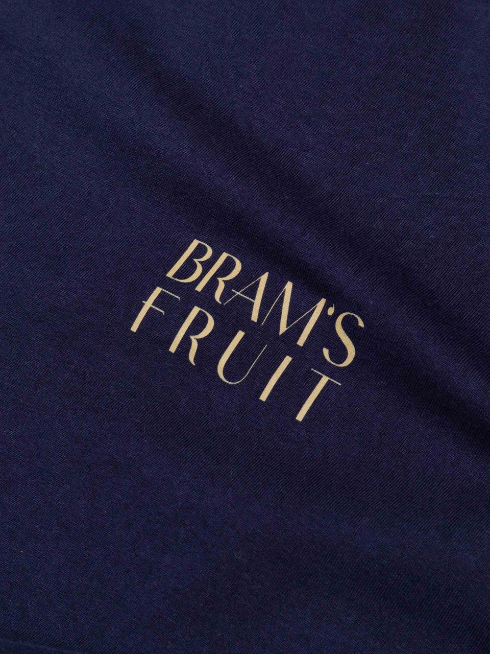 Bram's Fruit Fruit Hotel T-Shirt - Navy Blauw