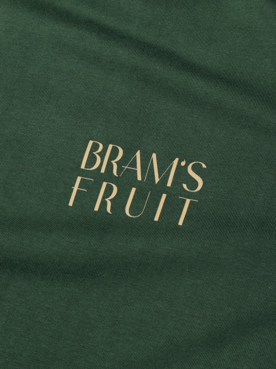 Bram's Fruit Fruit Hotel T-Shirt - Dark Green Groen