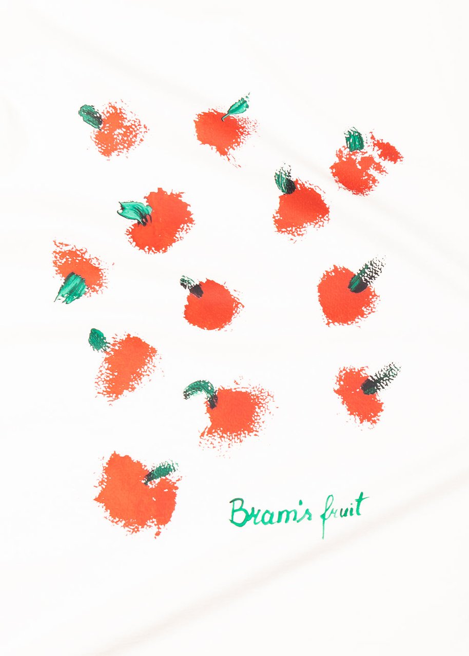 Bram's Fruit Fruit Acrylic T-Shirt - White Wit
