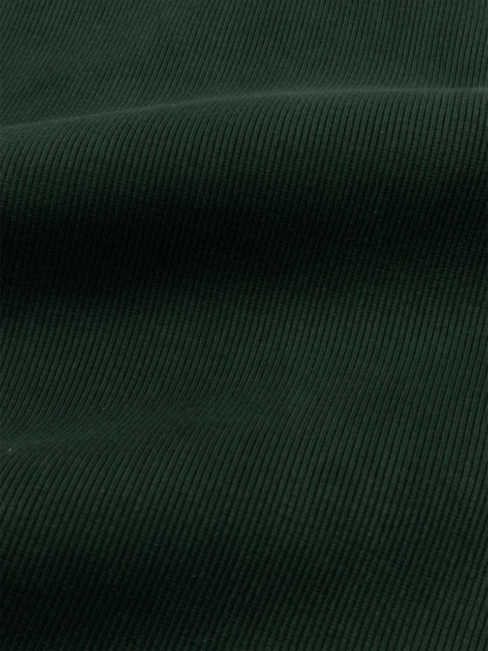 Bram's Fruit Heavy Rib Tanktop - Green Groen