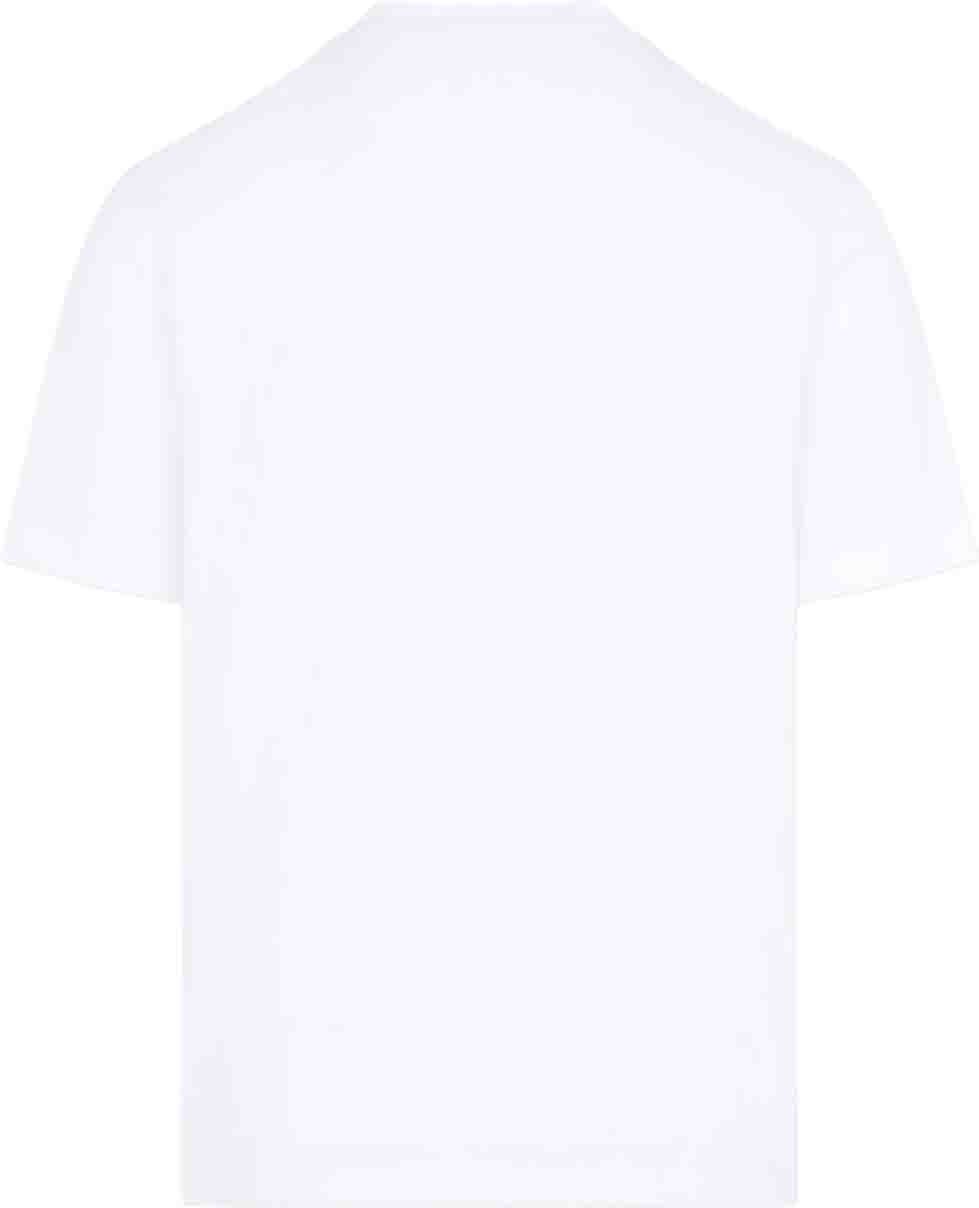 Brioni T-Shirt Divers