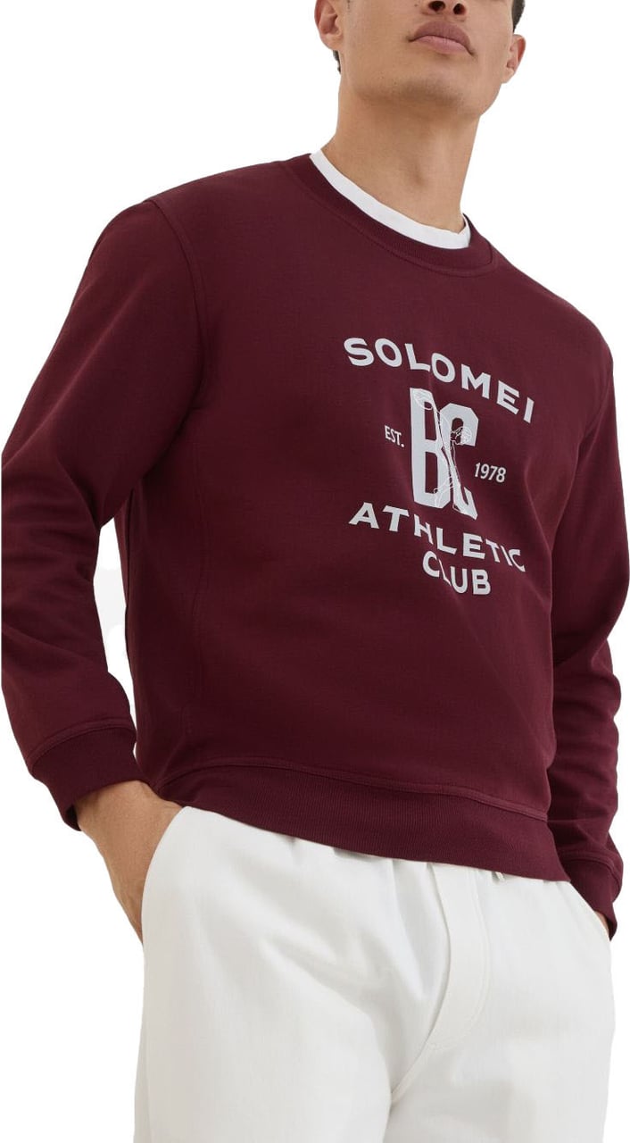 Brunello Cucinelli Sweaters Bordeaux Rood