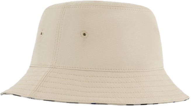 Burberry Chw Hats Beige