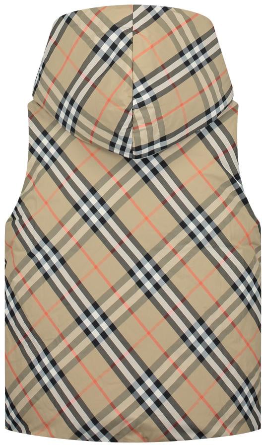 Burberry Kid Boy Puffer Beige