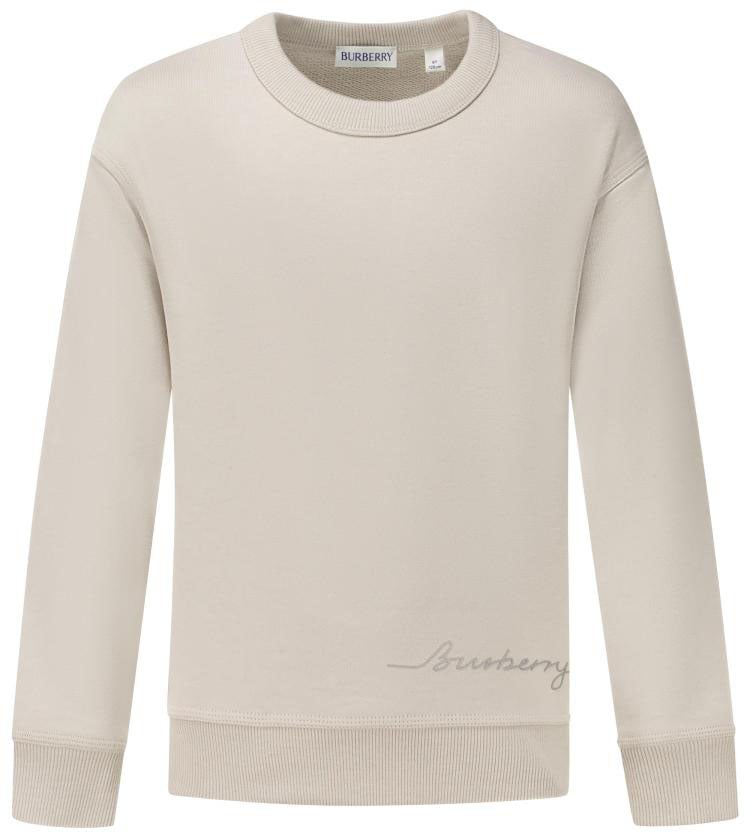 Burberry Kid Boy Sweaters Beige