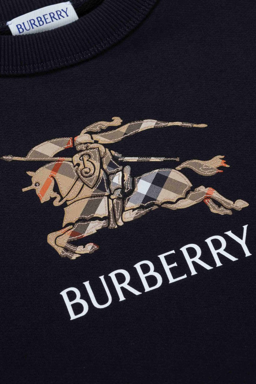 Burberry Kid Boy Sweaters Zwart