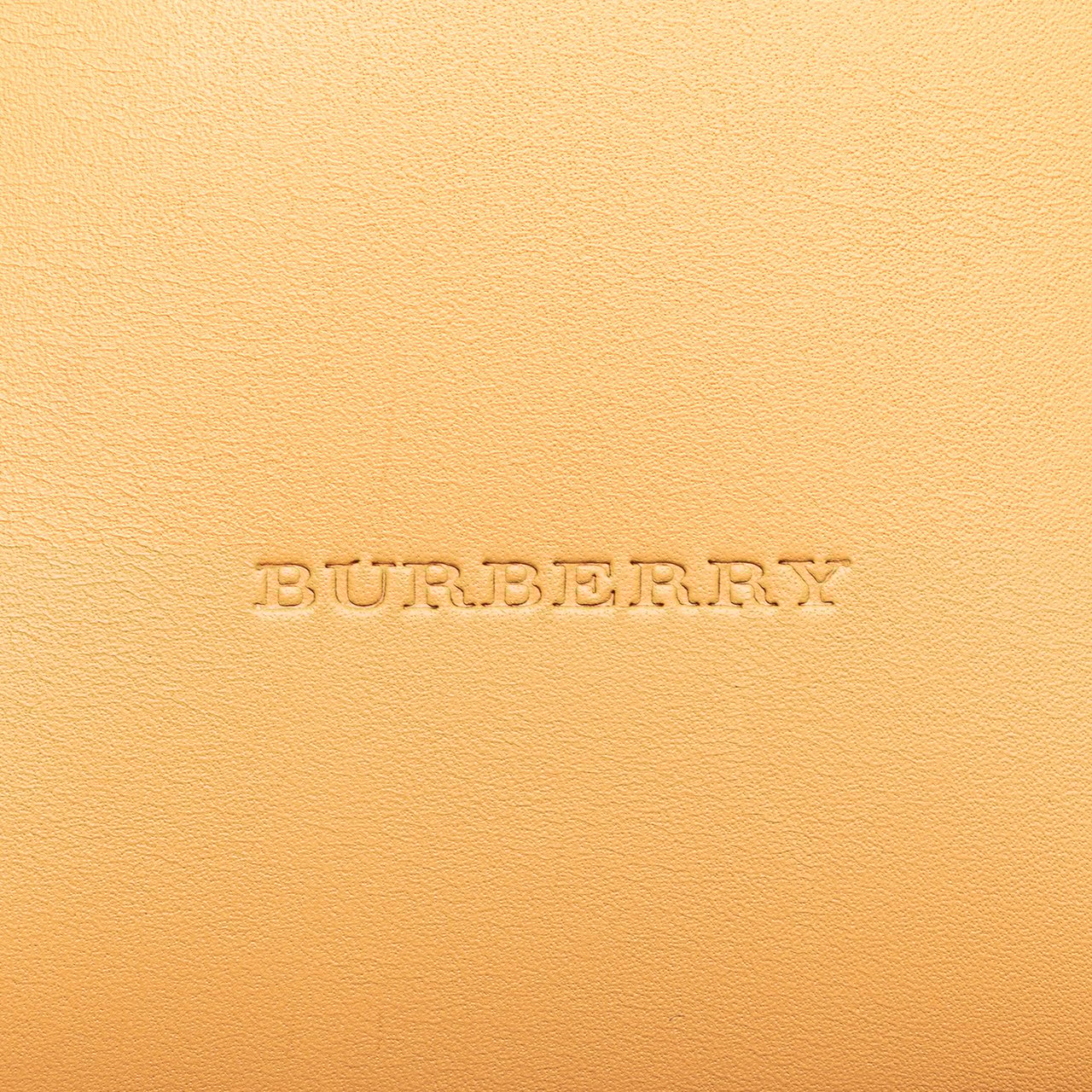 Burberry Leather Tote Bruin