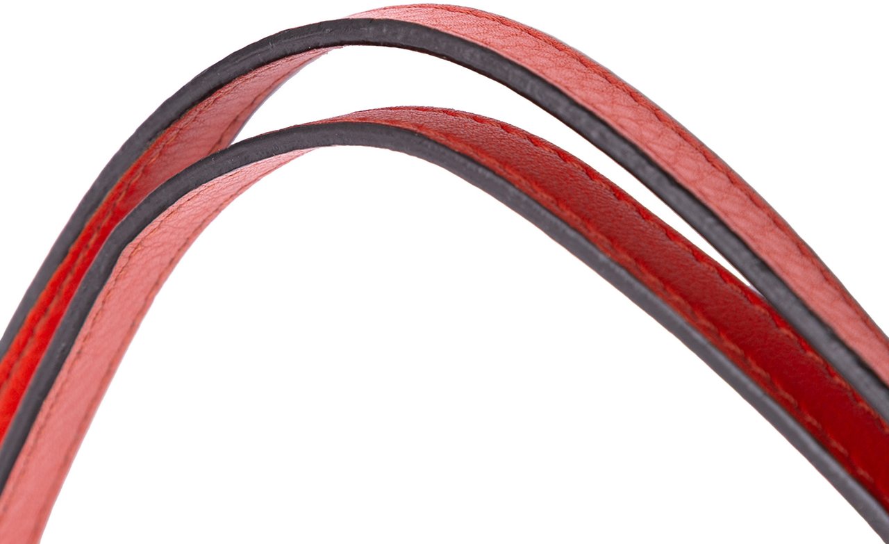 Burberry Small House Check Canvas Canterbury Tote Bruin