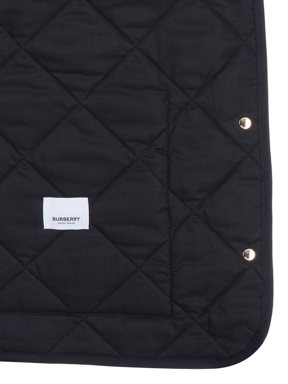 Burberry DRANEFELD Jacke braun Bruin