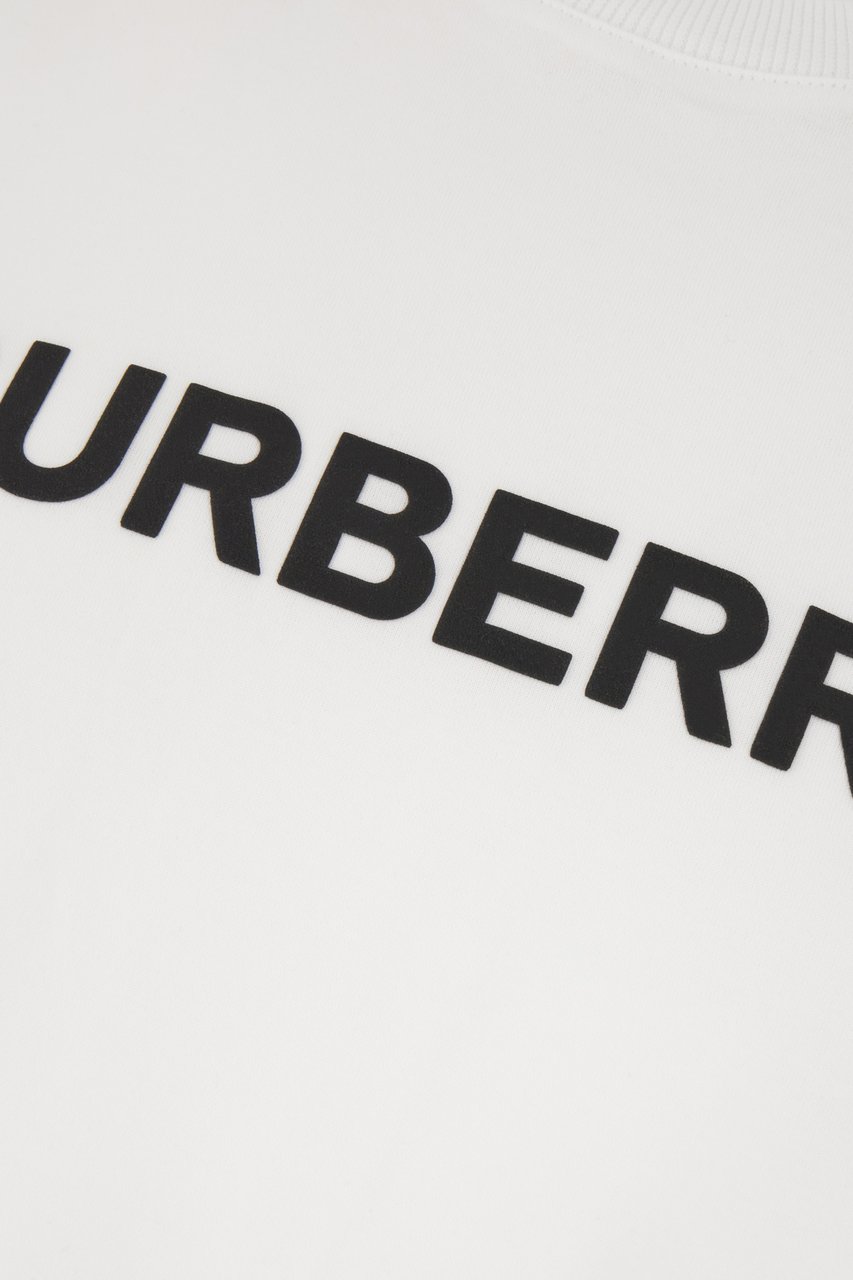 Burberry Burberry T-SHIRT Divers