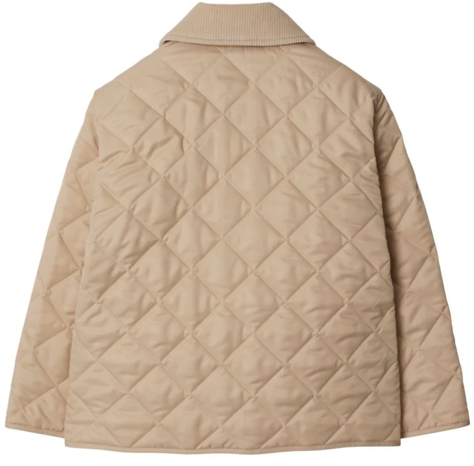 Burberry kg6 indy divers Divers