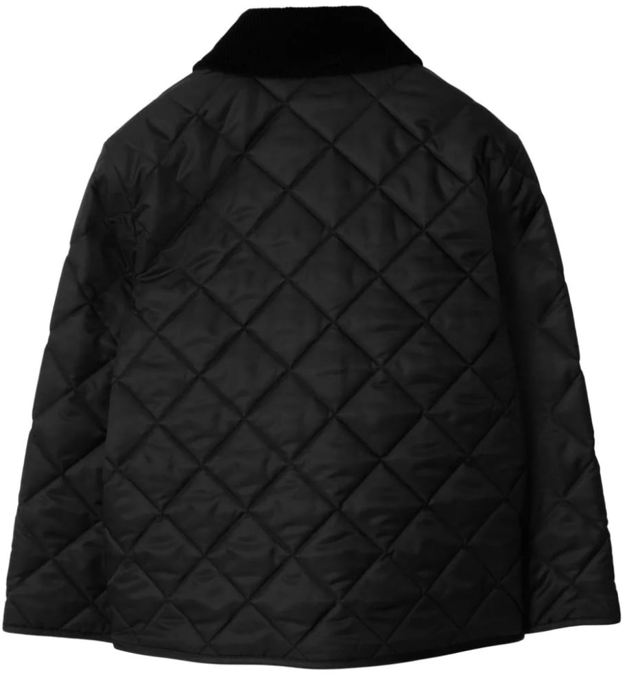 Burberry kb6 indy divers Divers