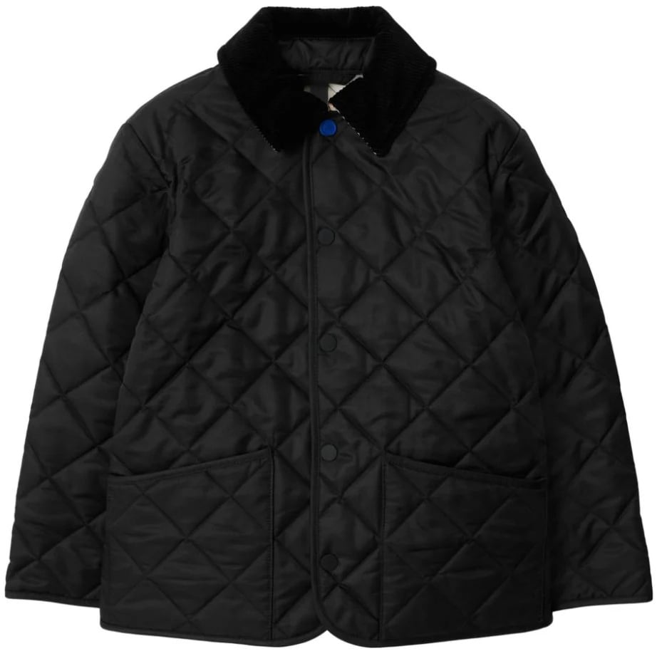 Burberry kb6 indy divers Divers