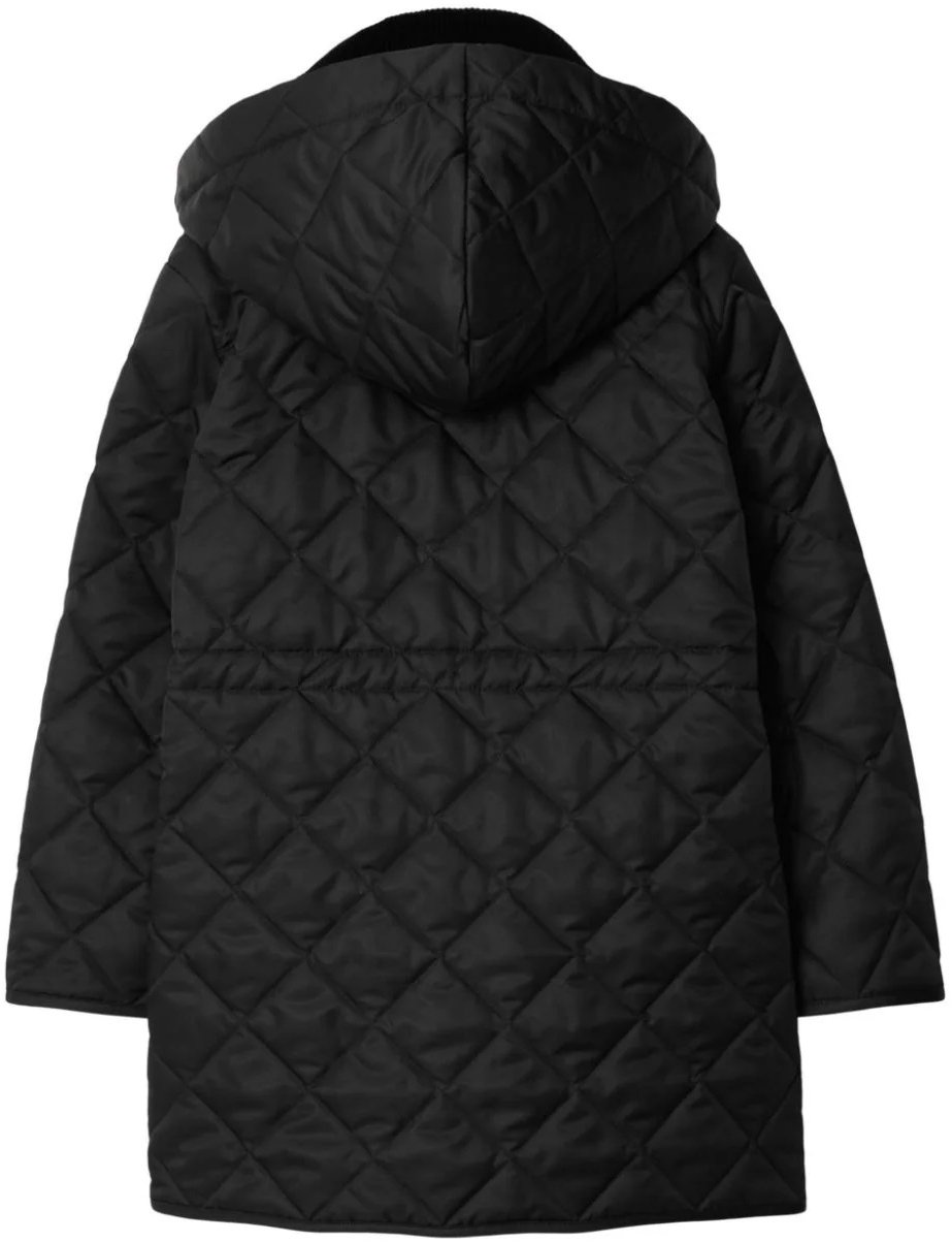 Burberry kb6 rowan divers Divers