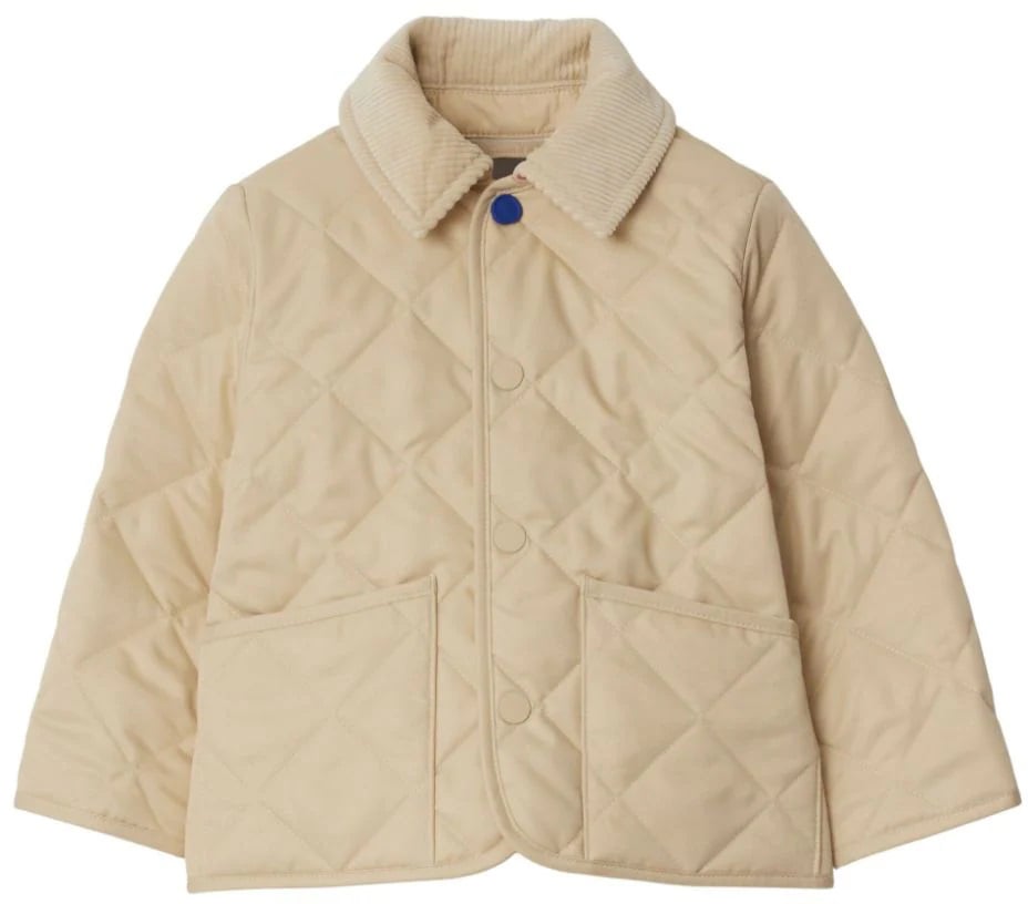 Burberry ig6 mn indy divers Divers