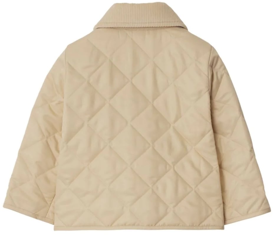 Burberry ig6 mn indy divers Divers