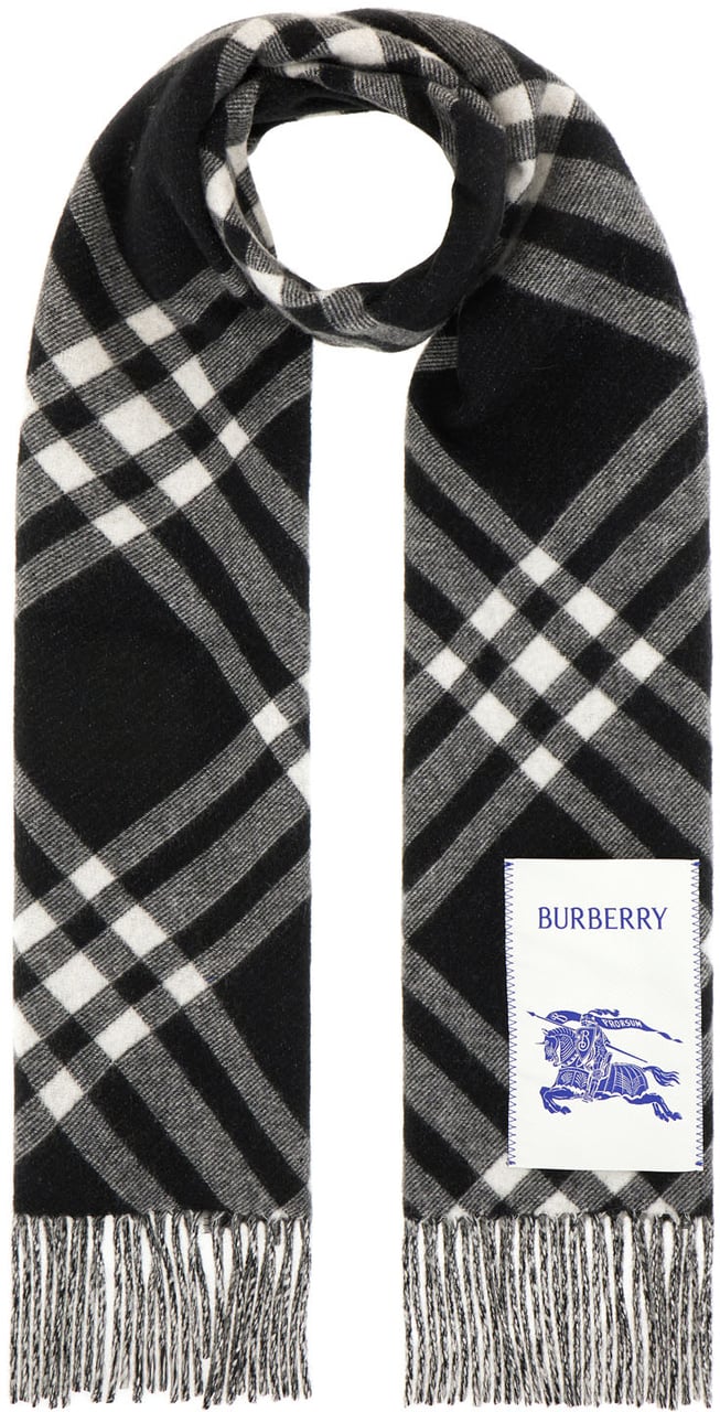 Burberry Burberry Embroidered cashmere scarf Divers