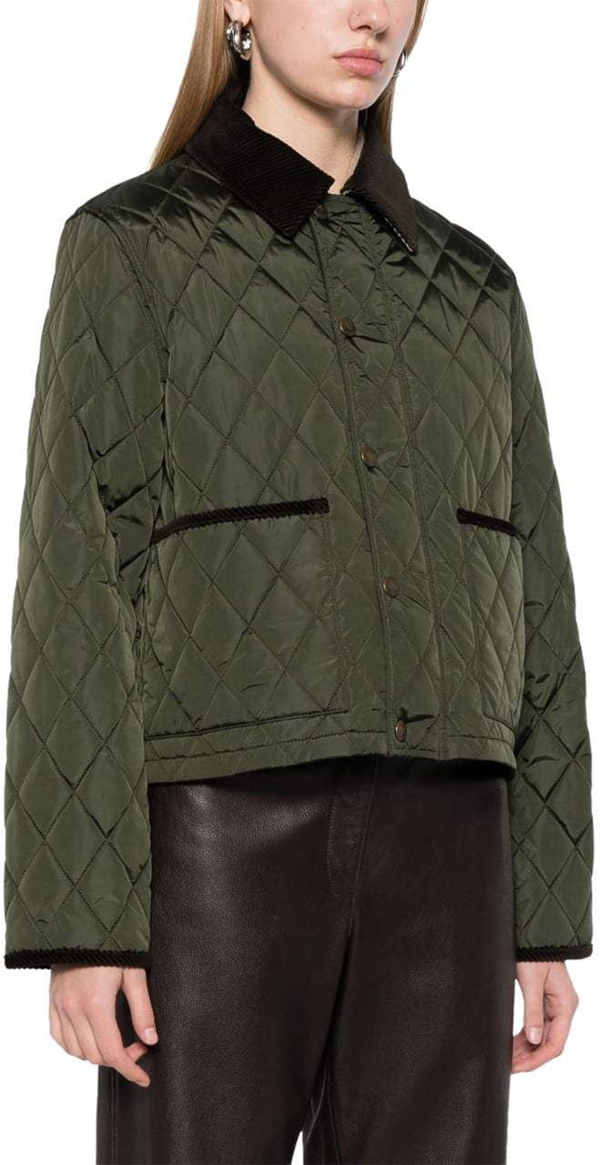 Burberry Jackets Green Groen