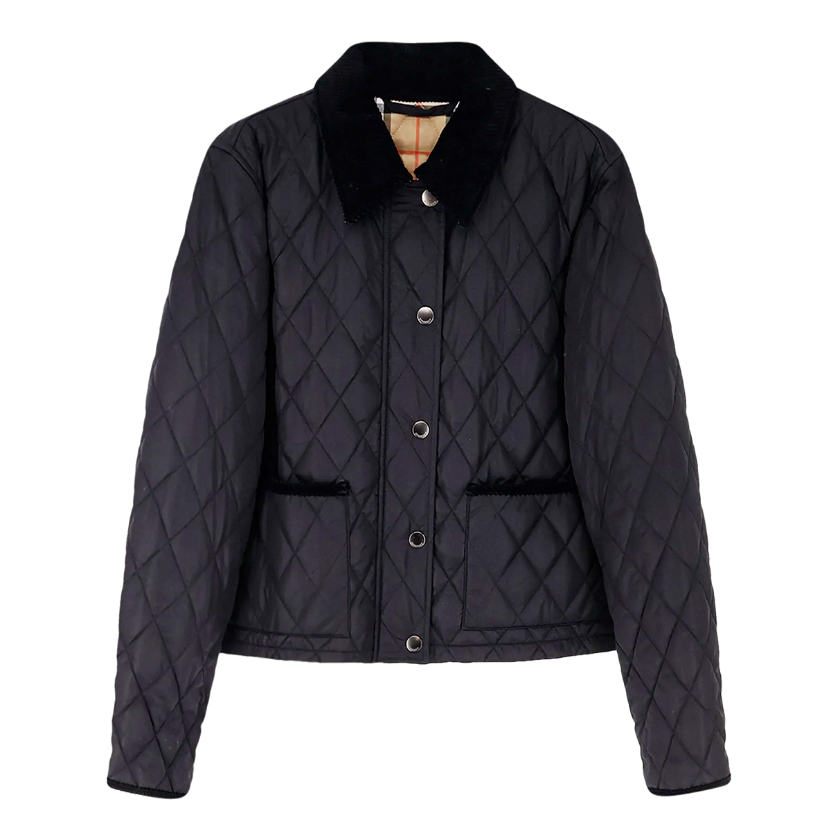 Burberry Black Down Jacket Zwart