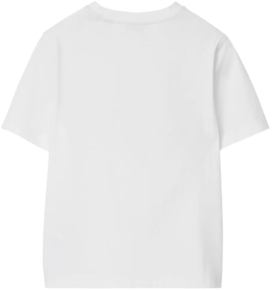 Burberry kb5 cedar teddy sit divers Divers