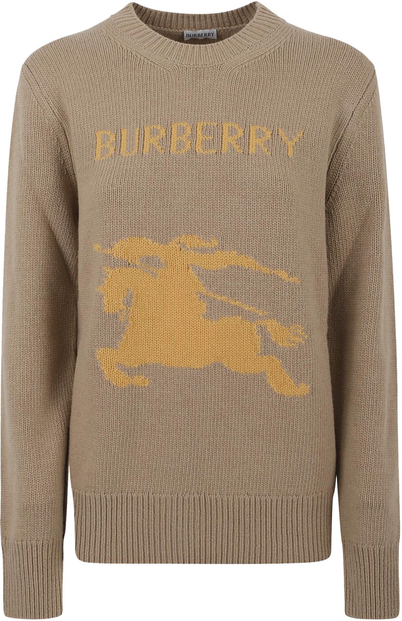Burberry Sweater Bruin