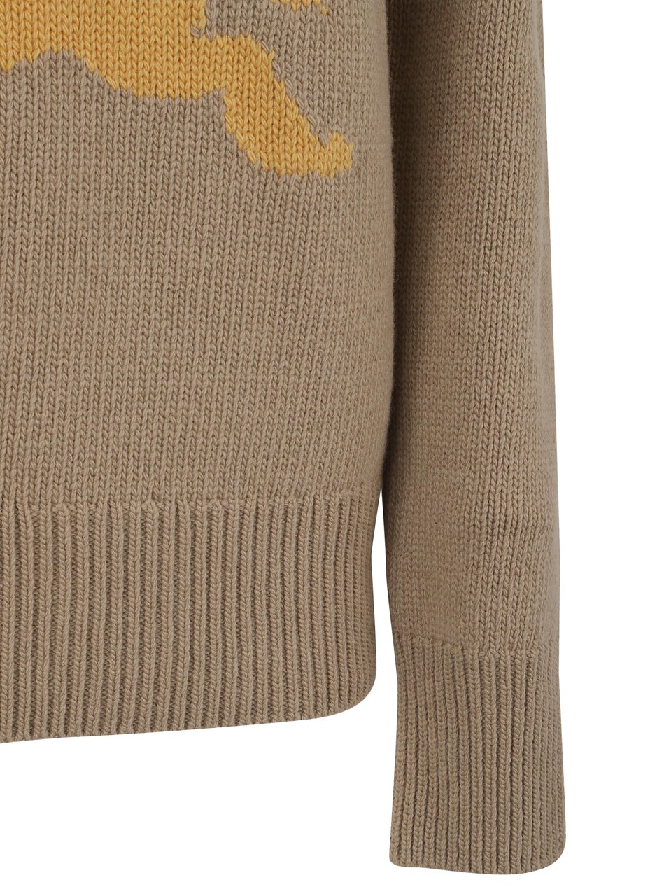 Burberry Sweater Bruin