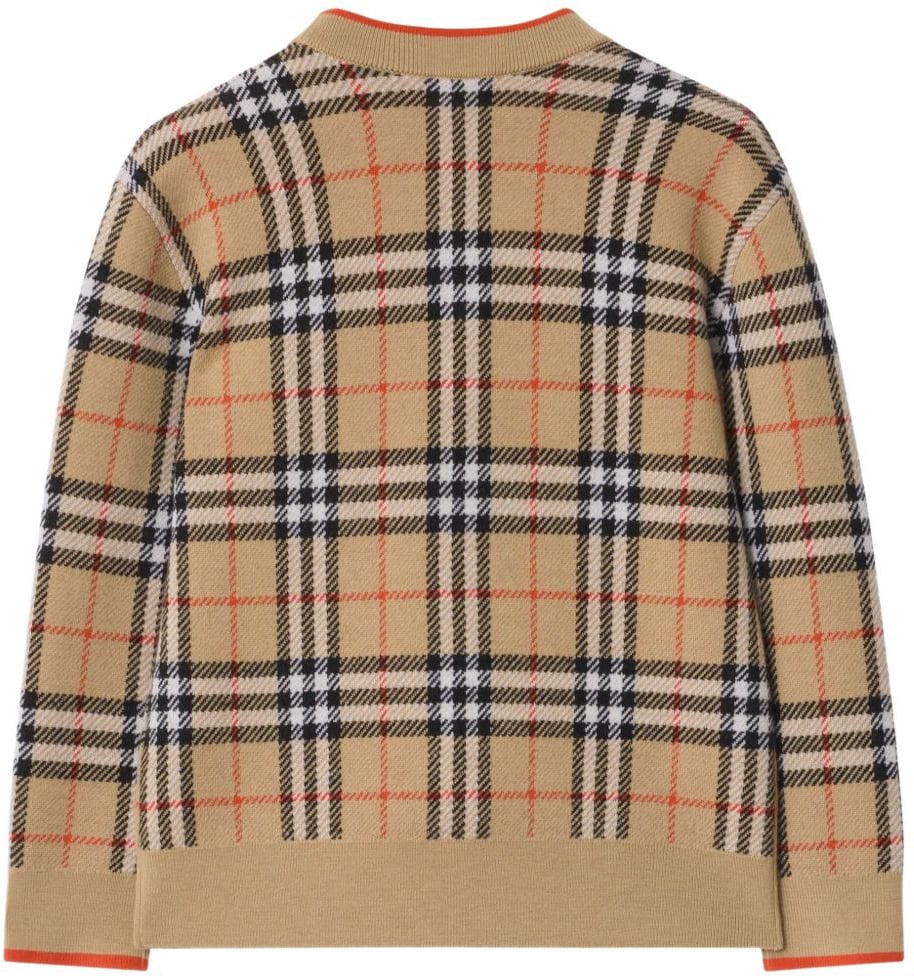 Burberry Sweaters Divers Divers
