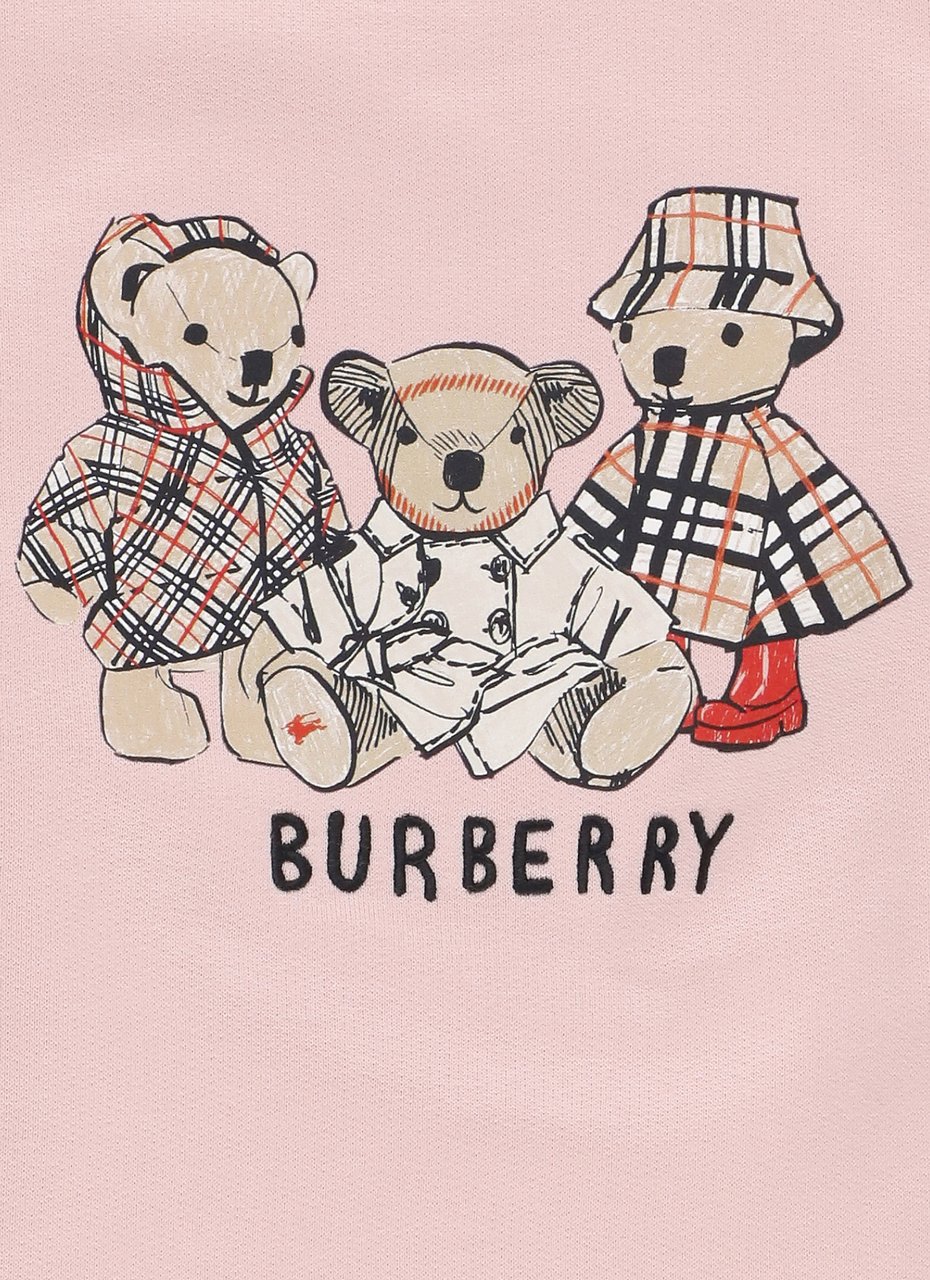 Burberry Sweaters Pink Roze