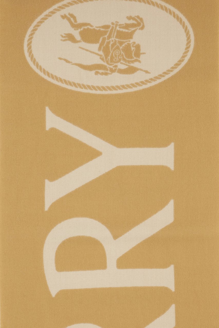 Burberry SCIARPE & FOULARD Divers