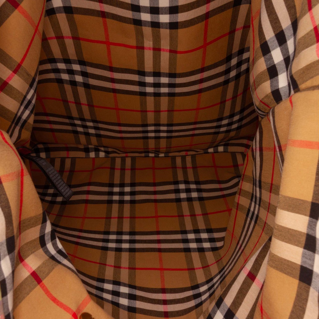 Burberry House Check Canvas Rainbow Tote Bruin