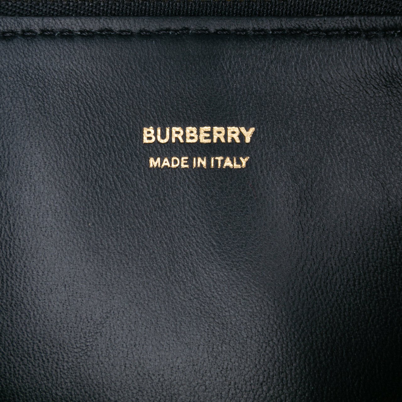 Burberry Mini Canvas Tiger Print Olympia Shoulder Bag Bruin