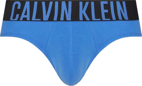 Calvin Klein Underwear Blue Cotton Briefs Blauw