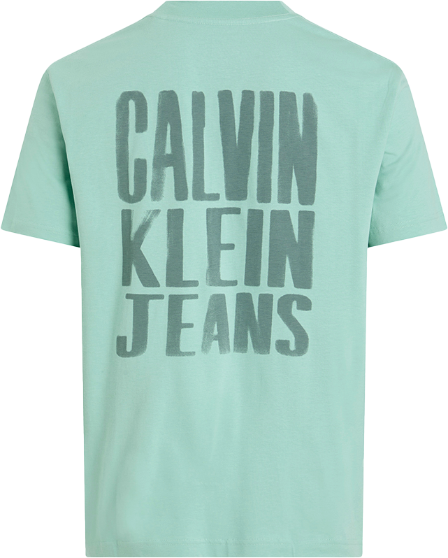Calvin Klein Calvin Klein Jeans Painted Calvin Klein Jeans Tee Blauw