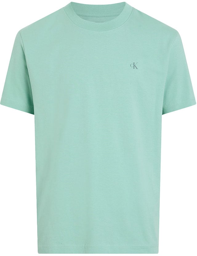 Calvin Klein Calvin Klein Jeans Painted Calvin Klein Jeans Tee Blauw