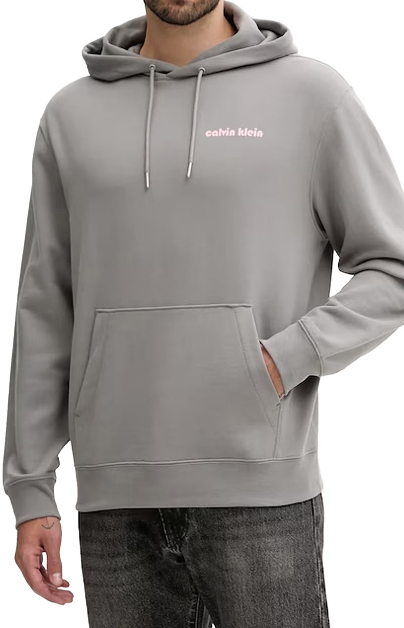 Calvin Klein Sweaters Grey Grijs