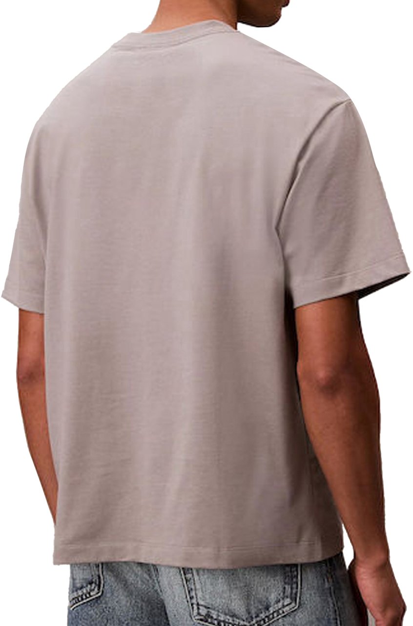 Calvin Klein T-Shirts And Polos Grey Grijs