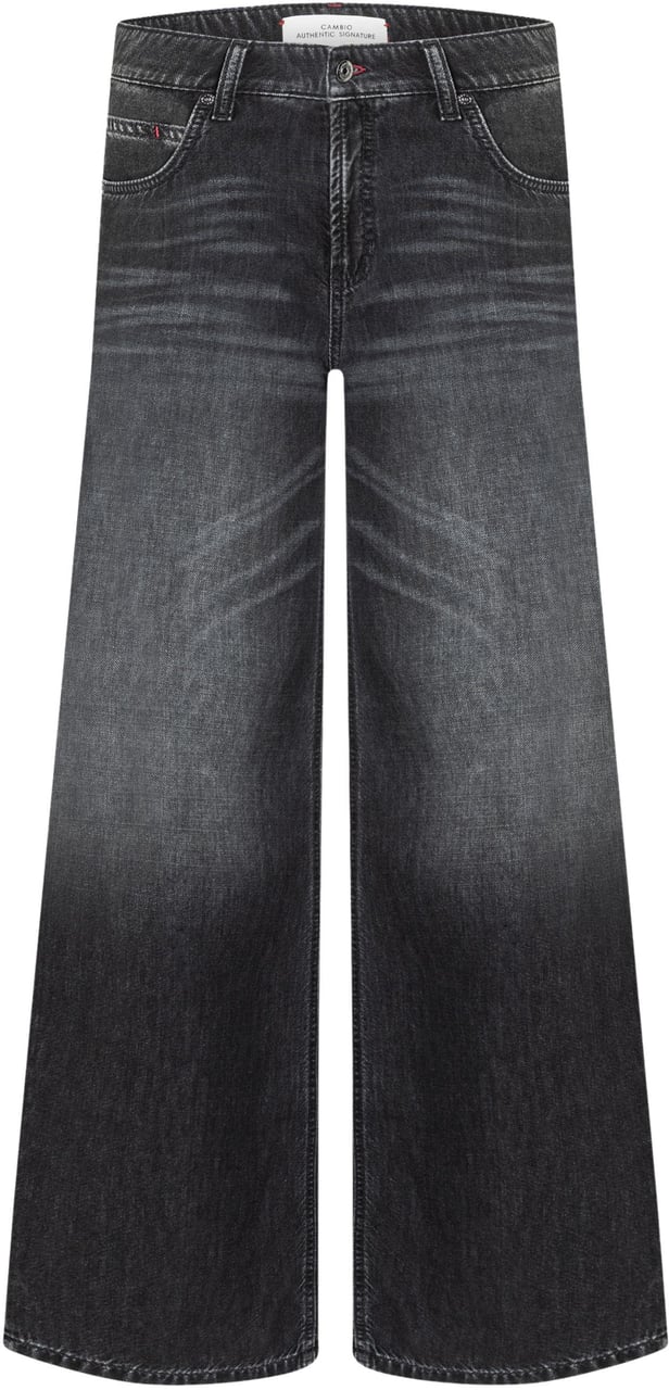 Cambio Palazzo Patch Jeans Grijs 9250 0056 08 Grijs