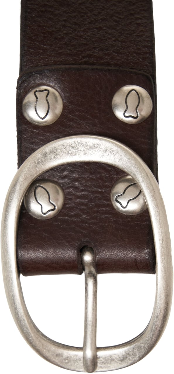Campomaggi Leather belt with studs Bruin