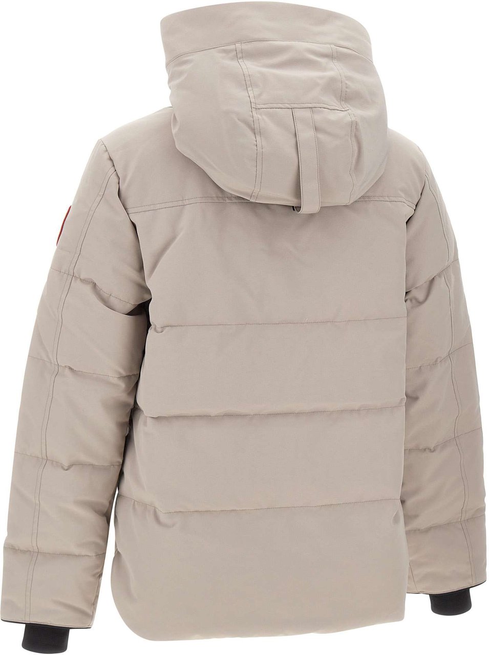 Canada Goose Coats Grey Grijs