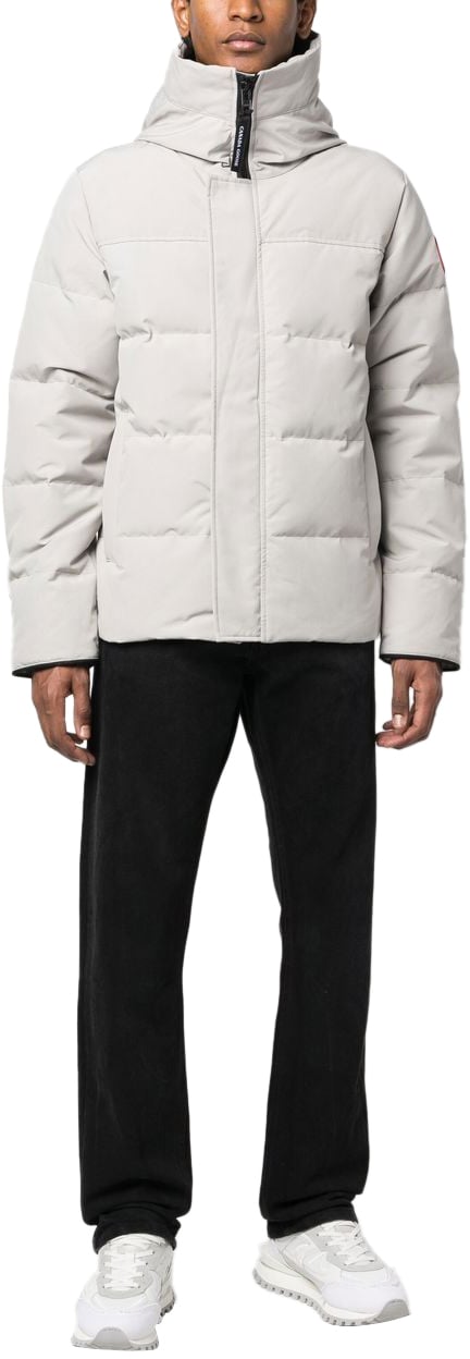 Canada Goose Coats Grey Grijs