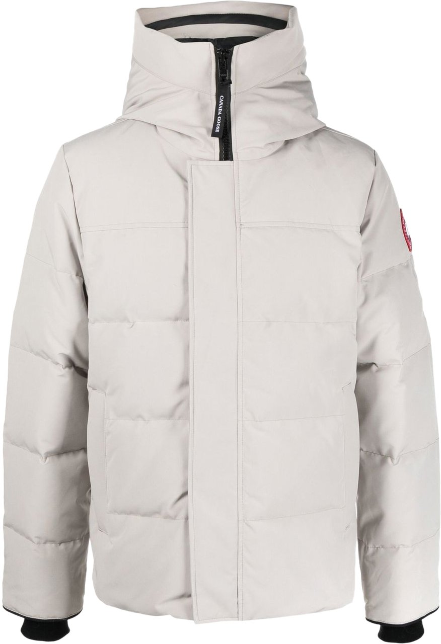 Canada Goose Coats Grey Grijs