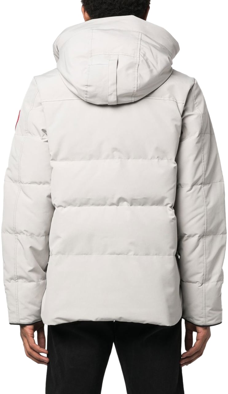 Canada Goose Coats Grey Grijs