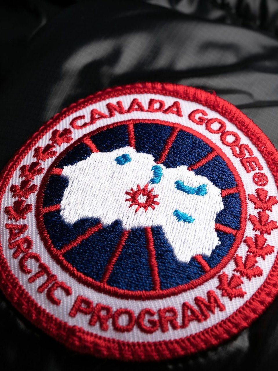 Canada Goose Coats Black Zwart