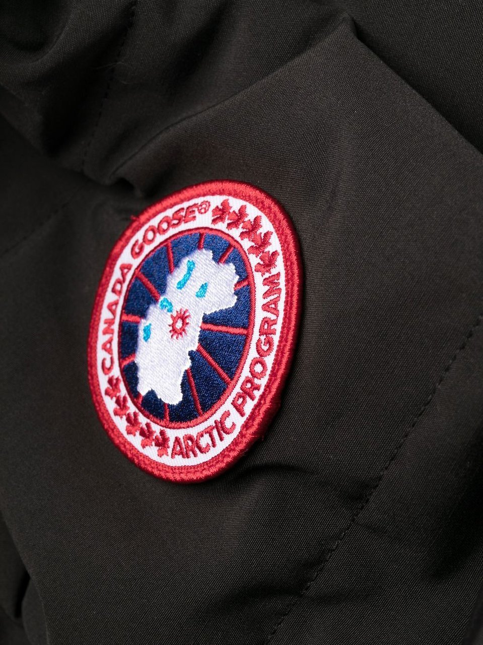 Canada Goose Coats Black Zwart